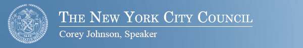 New York City Council Header